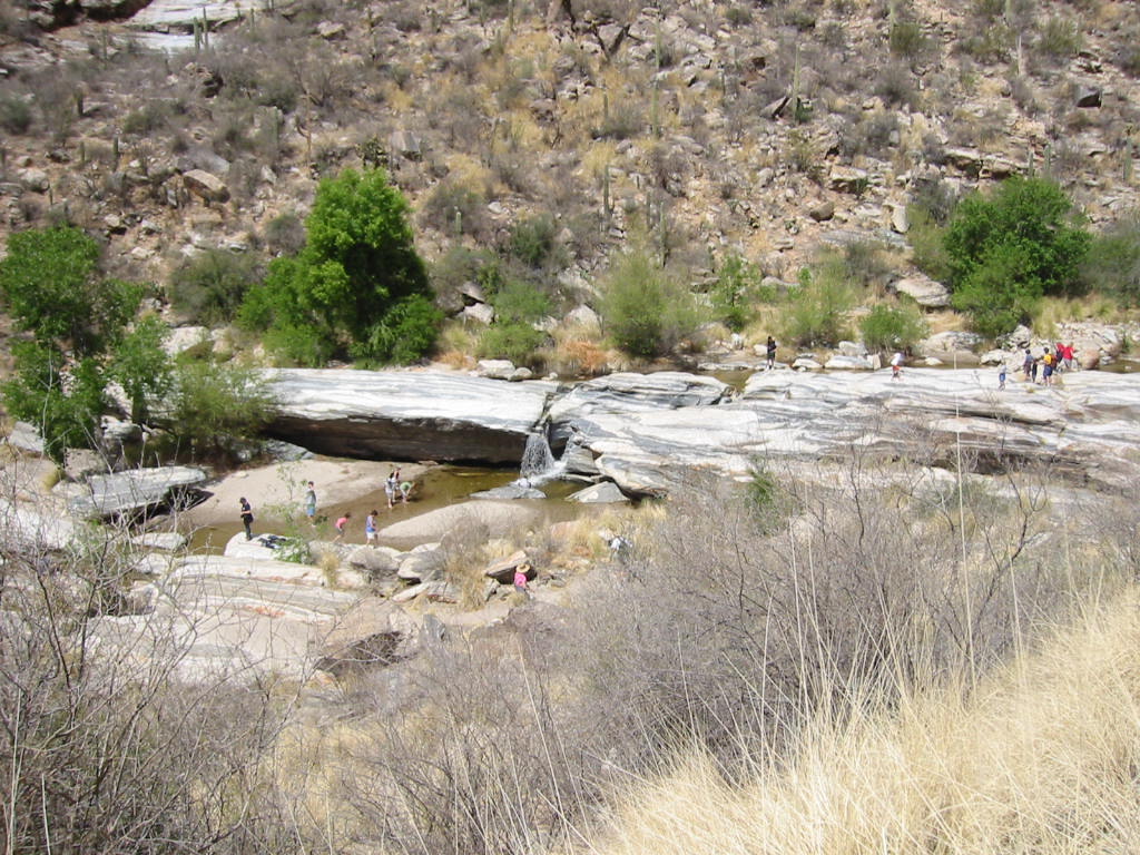 Sabino Canyon, Tuscon, Arizona